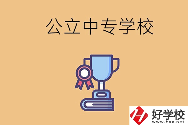 常德的公立中專學校有哪些？有什么特色？