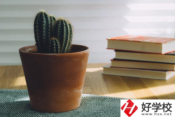 桃江縣職業(yè)中專學校辦學條件怎么樣？有哪些特色？