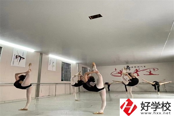 懷化市大鑫藝術(shù)職業(yè)學(xué)校是公辦嗎？學(xué)費(fèi)是多少？