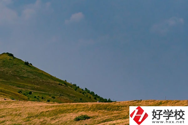 想在常德學(xué)動漫設(shè)計(jì)專業(yè)，有合適的學(xué)校嗎？