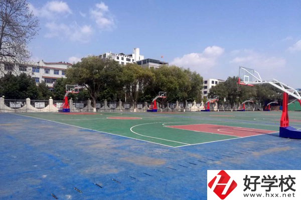 東安縣職業(yè)中專學?；@球場