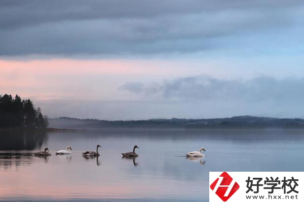 湖南有色金屬中專學(xué)校的專業(yè)、就業(yè)方向