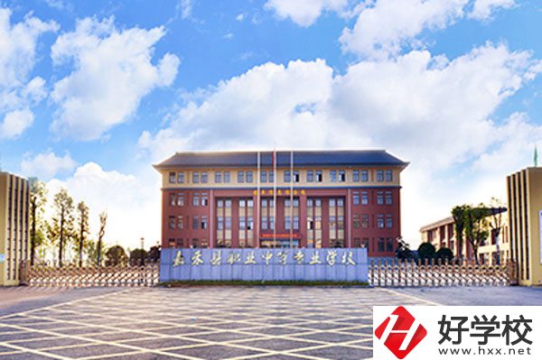嘉禾縣職業(yè)中等專業(yè)學校實力如何？