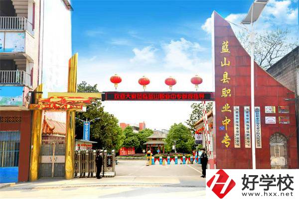 藍(lán)山縣職業(yè)中等專業(yè)學(xué)校是公辦學(xué)校嗎？有什么專業(yè)？