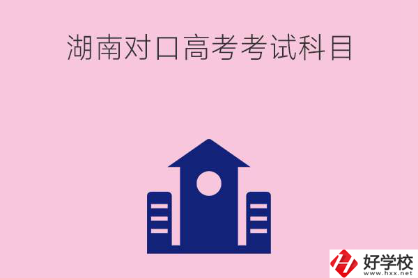 湖南中職生對(duì)口高考考試科目都有哪些？考試難不難？