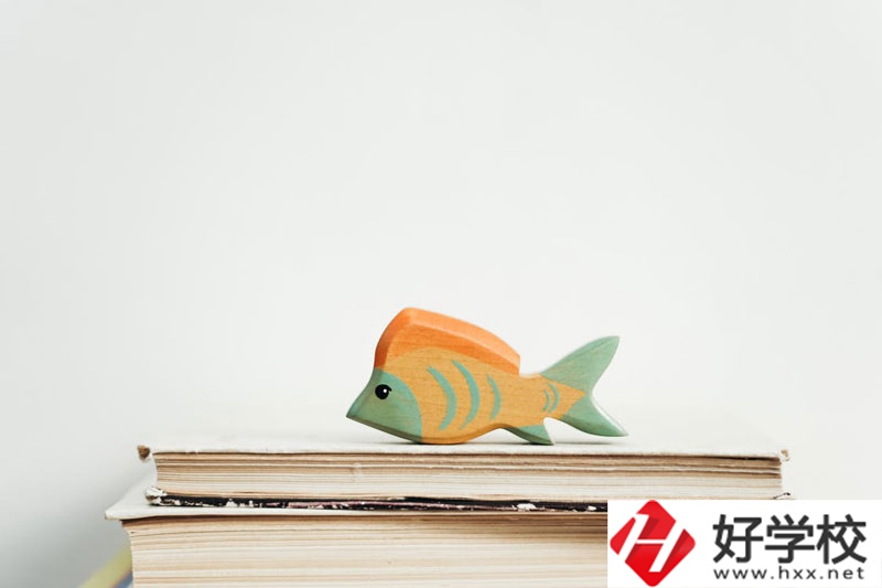 長沙市英藍(lán)中等職業(yè)學(xué)校學(xué)費(fèi)多少？貴不貴？