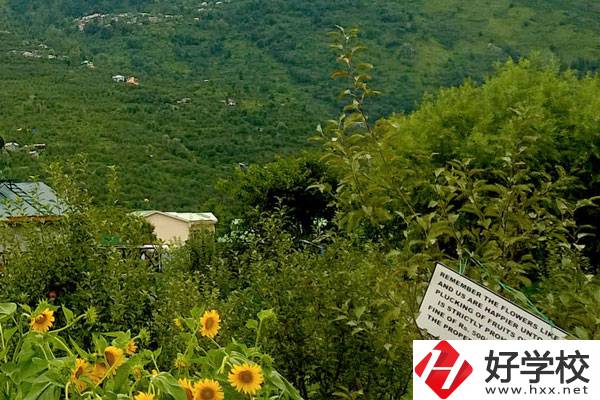 長沙公辦中職學(xué)校好不好？都有哪些學(xué)校？