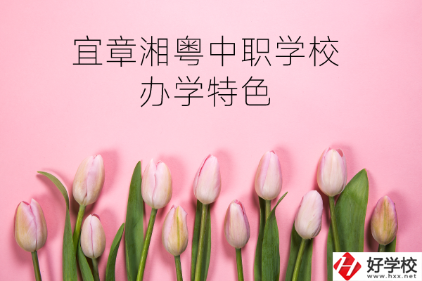 宜章湘粵中職學(xué)校在哪？有什么辦學(xué)特色？