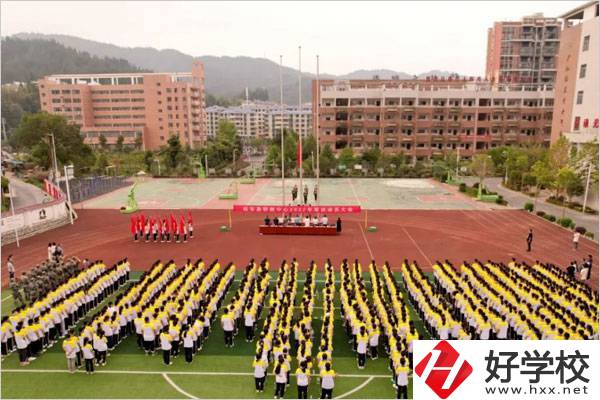 郴州桂東職校的開學時間是幾號？