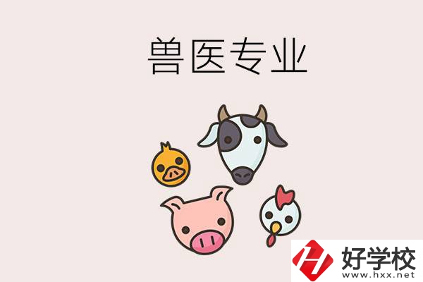 湖南哪些職校能學(xué)獸醫(yī)專業(yè)？學(xué)獸醫(yī)前景怎么樣？