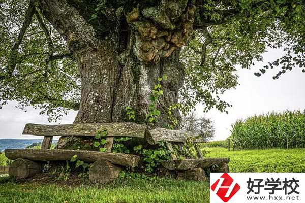 湖南特教中等專業(yè)學校有專業(yè)、資助政策。