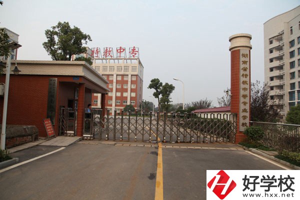 湖南有適合殘疾人就讀的中職嗎？有什么招生要求？