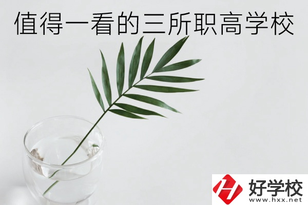湖南有什么好的職高學(xué)校？這3所學(xué)校值得一看！