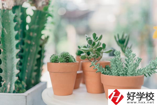 瀏陽市三聯(lián)工業(yè)學(xué)校辦學(xué)條件怎么樣？