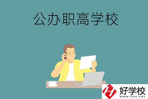 婁底市有哪些公辦的職高學校？