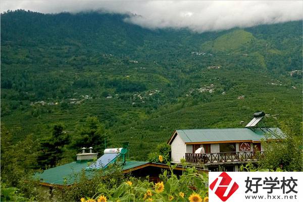 益陽大誠職業(yè)學校的專業(yè)怎么樣？就業(yè)方向如何？