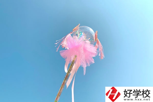 邵陽縣有什么中專學校？師資力量如何？