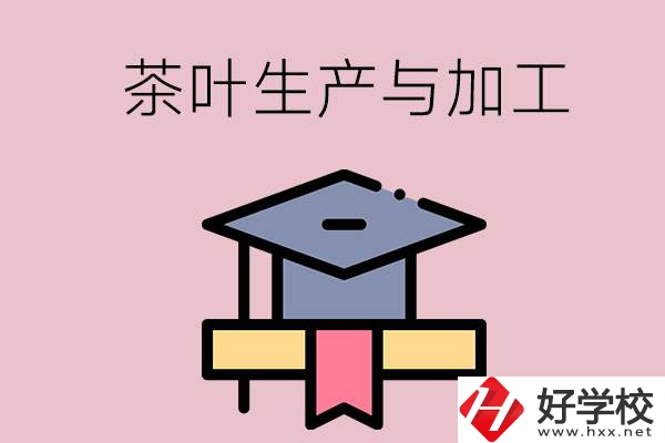 湖南哪些技校開設(shè)了茶葉生產(chǎn)與加工專業(yè)？