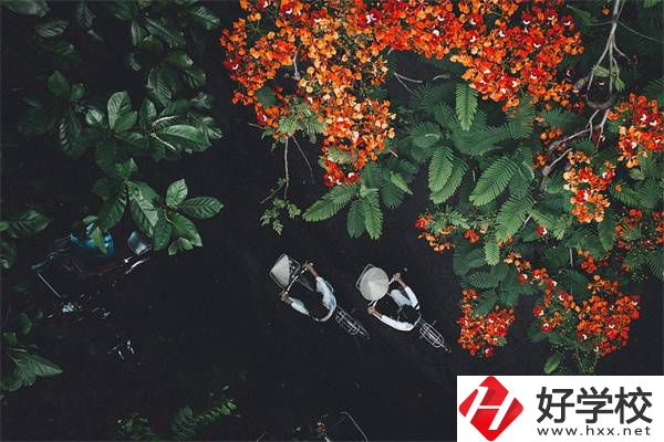 湖南分?jǐn)?shù)低選私立高中還是選職校？選職校還能統(tǒng)考嗎？