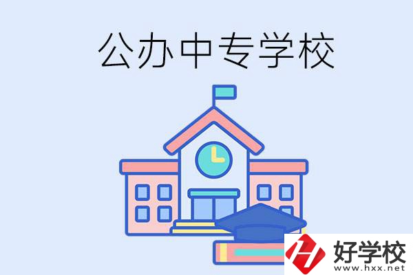 湘西一共有多少所公辦的中專學校？