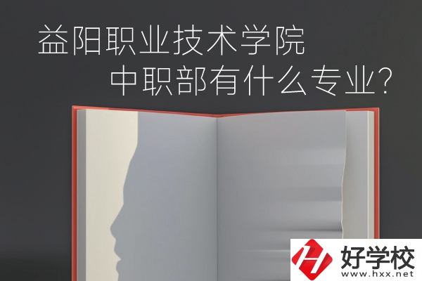 益陽職業(yè)技術(shù)學院中職部有什么專業(yè)？