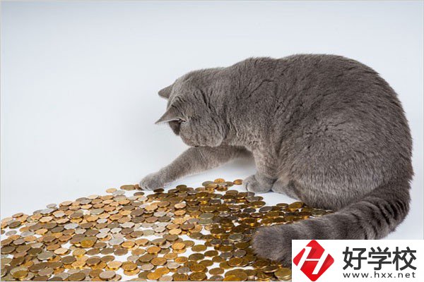 邵陽的職高一年學費是多少？比較便宜的學校有哪些？