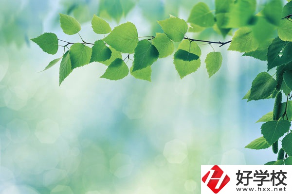 永州工商職業(yè)中等專業(yè)學校哪些是特色專業(yè)？好就業(yè)嗎？