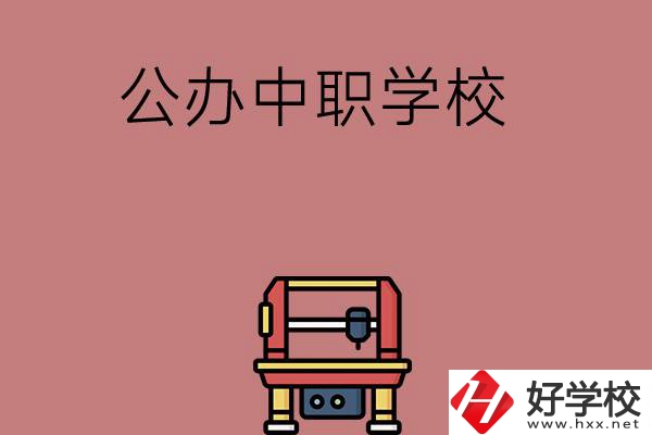 長沙可以學計算機應用專業(yè)的公辦中職學校有哪些？