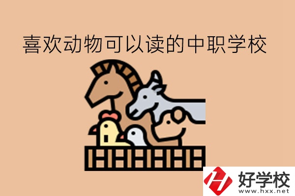 喜歡動物的學生，可以讀這些中職學校!