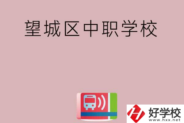 長沙望城區(qū)哪些中職學(xué)校？