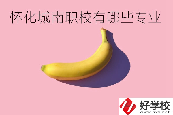 懷化城南職業(yè)學(xué)校有哪些專(zhuān)業(yè)？學(xué)校好不好？