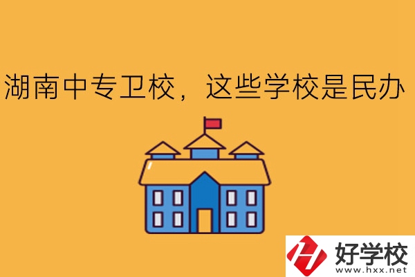 湖南中專衛(wèi)校，這些學(xué)校是民辦!