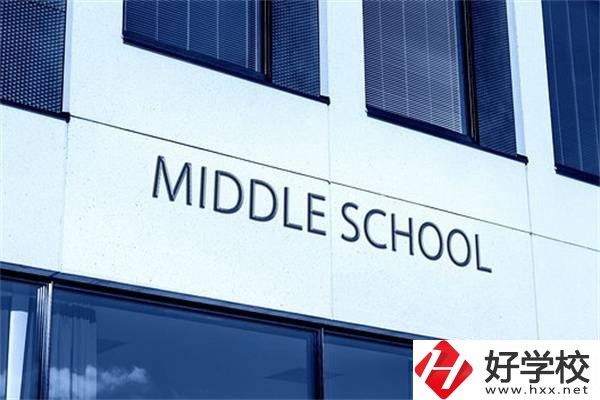 在湖南考不上高中又想繼續(xù)讀書怎么辦？有學校推薦嗎？