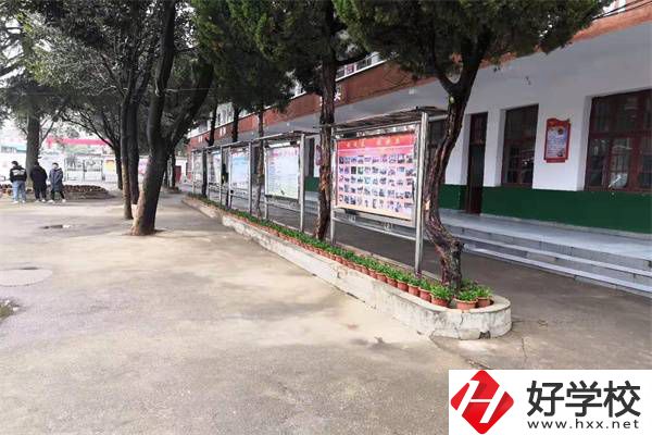 岳陽有沒有升學(xué)率高的民辦職高？職高能升學(xué)是真的嗎？