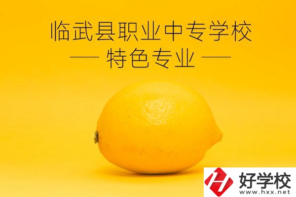 臨武縣職業(yè)中專學(xué)校好嗎？有哪些特色專業(yè)？