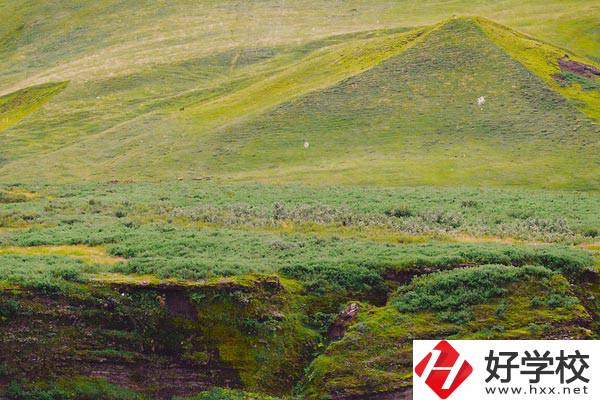 湖南衡南職業(yè)中等專業(yè)學(xué)校好嗎？學(xué)校有什么優(yōu)勢？