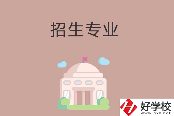 益陽有哪些高職院校設立了中職部？招生專業(yè)有哪些？