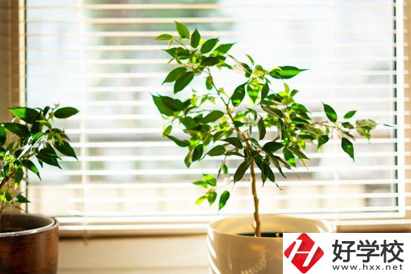 湖南省商業(yè)技師學(xué)院有哪些教學(xué)特色？報考有何要求？