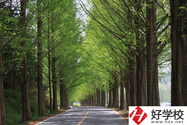張家界的公辦中職學(xué)校有哪些？