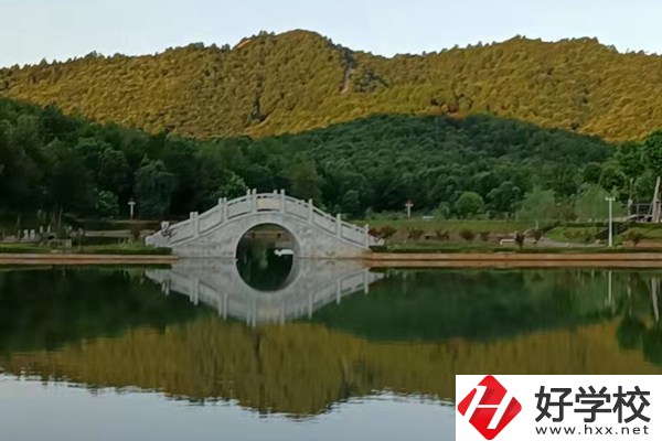 想在新寧縣讀中專學(xué)校？推薦這兩所