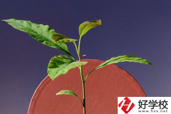 株洲市工業(yè)中等專校怎么樣？好不好？