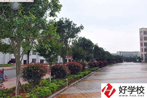 長(zhǎng)沙市電子工業(yè)學(xué)校開設(shè)了哪些專業(yè)，附招生要求？