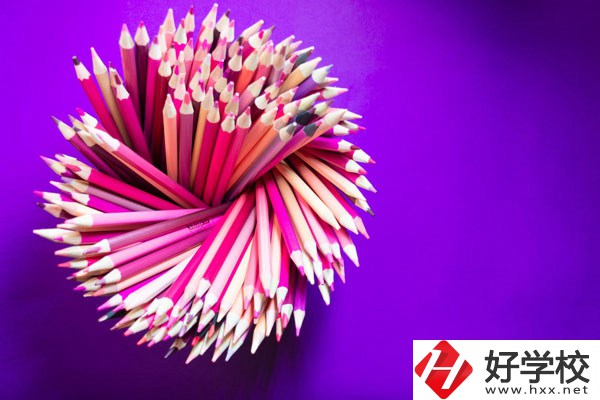 在懷化有什么職校可以學(xué)習(xí)幼師？好不好？