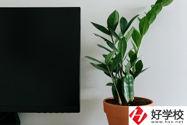 岳陽市網(wǎng)絡(luò)工程職業(yè)技術(shù)學(xué)校有哪些熱門專業(yè)？