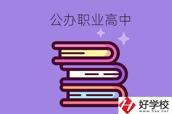 長(zhǎng)沙市有哪些公辦職業(yè)高中學(xué)校？