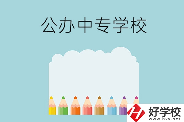 湖南地區(qū)有哪些公辦的中專學(xué)?？梢酝扑]呢？