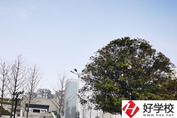 益陽科技工程學(xué)校有哪些專業(yè)？就業(yè)如何？