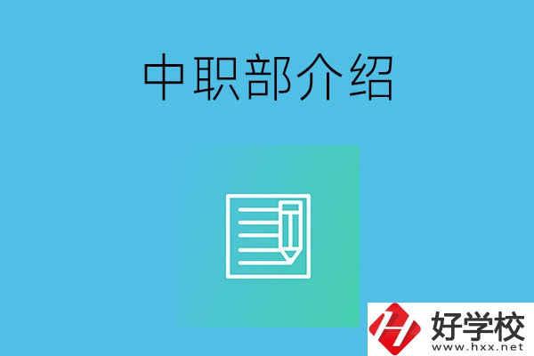 湘潭院校中職部介紹，這幾所學(xué)校你知道嗎？