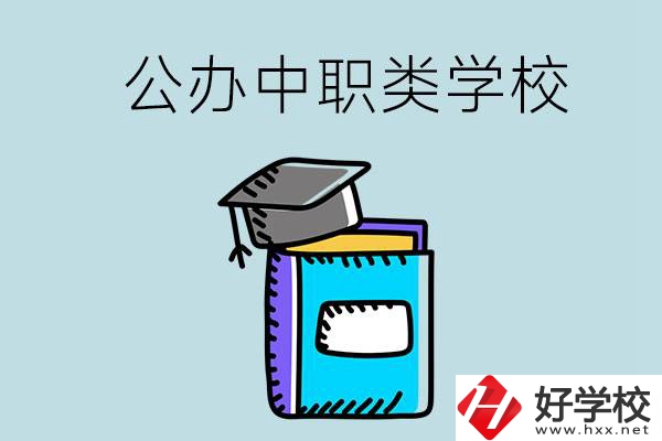 湘西的公辦中職類學校一共有多少所？