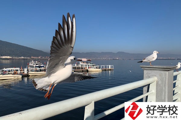 準(zhǔn)備讀中專(zhuān)，衡陽(yáng)縣職業(yè)中專(zhuān)好不好？